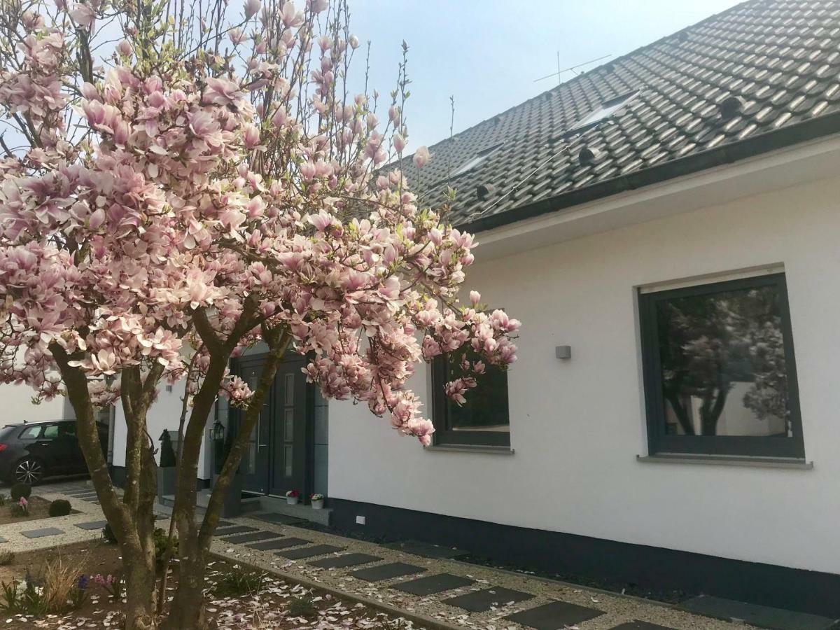 Weinurlaub Sulzfeld am Main Exterior foto